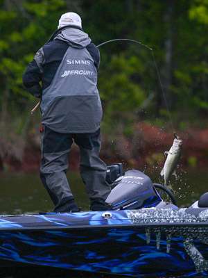 <p> </p>
<p>Biffle swings a good keeper.  One of the bigger fish that I saw this morning.</p>
