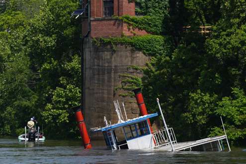 <p>Pirch makes his way up river and is always looking for floating debris coming down the river.</p>
