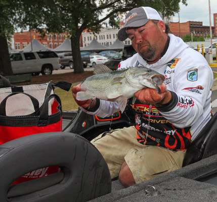 <p>I was walking past Jason Quinn as he fills his Berkley weigh in bag with this big spot! He had 16-1 lbs. today.</p>
