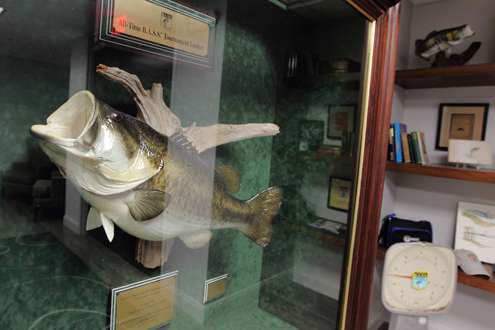 <p>This replica is of the all-time largest bass caught during a B.A.S.S. tournament â Mark Tylerâs 14-pound, 9-ounce largemouth from 1999.</p>
