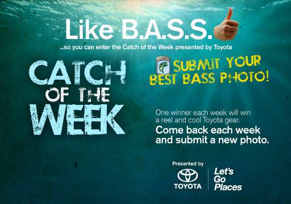 <p>Do you think you have what it takes to win? Enter your best bass photo each week <a href=