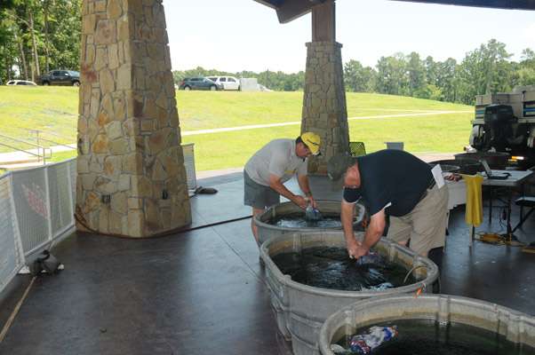 <p>Brent Stafford of the Texas B.A.S.S. Nation and B.A.S.S. Nation Director Don Corkran add ice to cool down the waters in the weigh-in tubs.</p>

