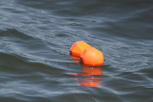 <p>Marker buoys litter Pickwick. </p>

