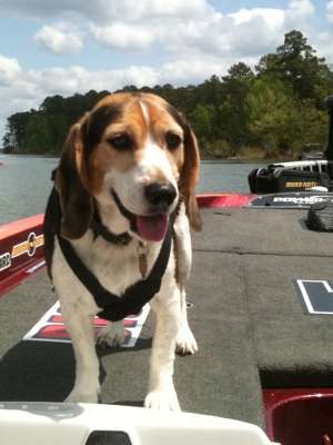 <p>Cooper loves to spend time on the water with his dad, Keith Combs.</p>
