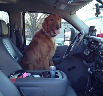 <p>Crochet's dog Hank sometimes likes to take the driver's seat.</p>

