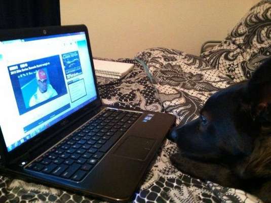 <p>Scanlon's sister's dog, Nellie, is a big fan. She watches from home as Scanlon weighs in at the Bassmaster Elite Series Ramada Quest on Bull Shoals.</p>
