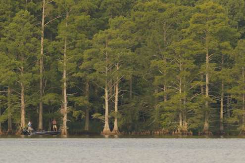 <p>Kyle Kempkers fishes around cypress trees.</p>
