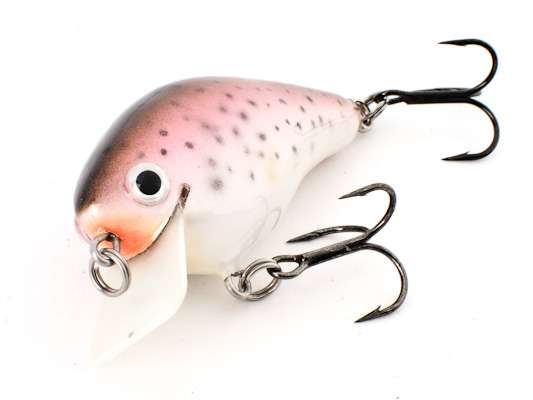 <p><u><strong>Stanford Lures<span class=
