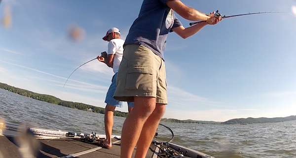 <p>Three casts later, Lee hooks up again. This 4-pounder was camera shy and led Lee to the back of the boat before entering it. </p>
