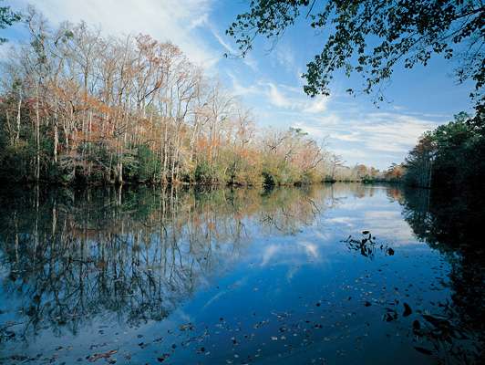 <p>
	<strong>No. 11: Mobile-Tensaw River Delta, Alabama</strong></p>
<div>
	<div>
		<p>
			This vast lowcountry melding of two rivers intertwines across some 200,000 acres of marshes, swamps, bayous, creeks, lakes and lowcountry forests to form one of Americaâs great wilderness areas where roads and people are scarce, fish and wildlife abundant.  </p>
	</div>
</div>
