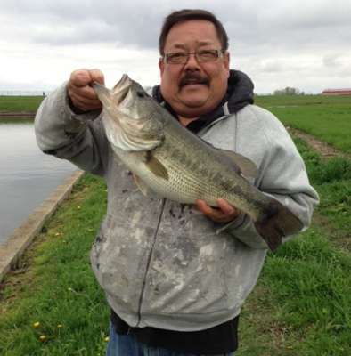 <p>Don Burmeister caught this 6 1/2-pounder from a drainage pond in Champaign, Ill.</p>
