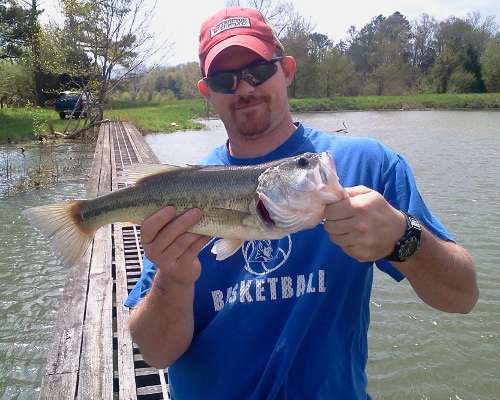 <p>"Caught this beauty with a Rooster Tail in a local pond," said Jackie Sauceman of Greeneville, Tenn.</p>
