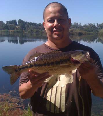 <p>"I caught this one at Sycamore Island Ponds in Fresno, Calif.," said Ruben Clemente.</p>
