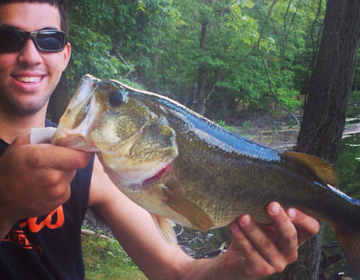 <p>"I caught this largemouth in East Hanover, N.J., at a place called Bee Meadow Pond," said Sal Gentile. "The bass was 4 pounds, 8 oounces. It was caught last July."</p>
