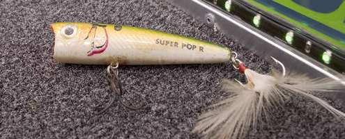 <p>The longer Super Pop-R casts well, walks easily and has nice âblipâ claims Ashmore.</p>
