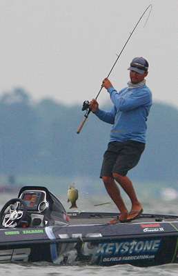 <p>Chris Zaldain pulls a second fish aboard early on Day Two on Oneida Lake. </p>
