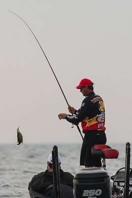 <p>Kevin VanDam swings over a small one.</p>
