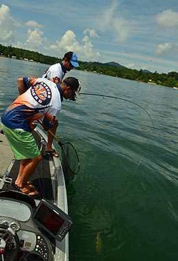 <p>Lee dropped his rod and grabbed the net as the bass approached the surface.</p>

