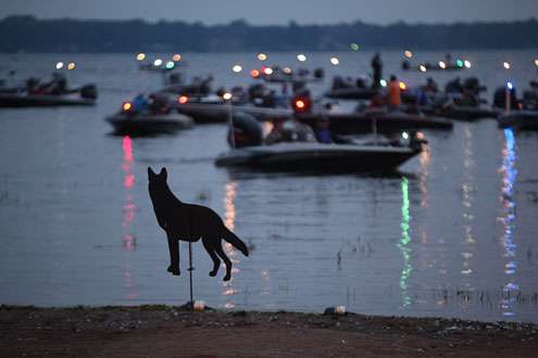 <p>Silhouetted dogs line the banks of Oneida Shores Park to ward off water fowl.</p>
