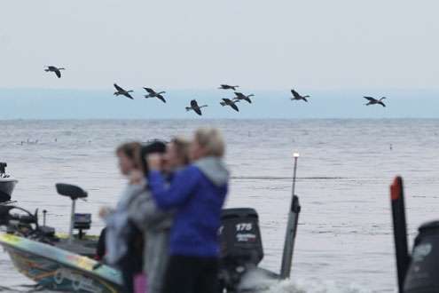 <p>Ducks glide into the cove of Oneida Shores Park as Day One of competition begins.</p>
