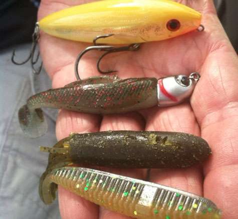 <p>Bernie Schultz rotated between a drop shot and three other baits: a green pumpkin Yamamoto tube, a Rapala Skitter Walk in a saltwater color, and another saltwater bait â a Hildebrandt Drum Roller spinnerbait, from which he removed everything but the head and Z-Man trailer. "I was swimming that in about 6 feet," he said. "What's unique about the head is it's made of tin, so I could fish it any rate of speed over super-shallow shoals without getting hung in the grass." He used Shimano Japan rods and reels.</p>
