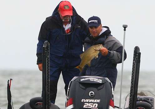 The fat smallmouth bass will look good in the weigh-in bag at the end of the day. 