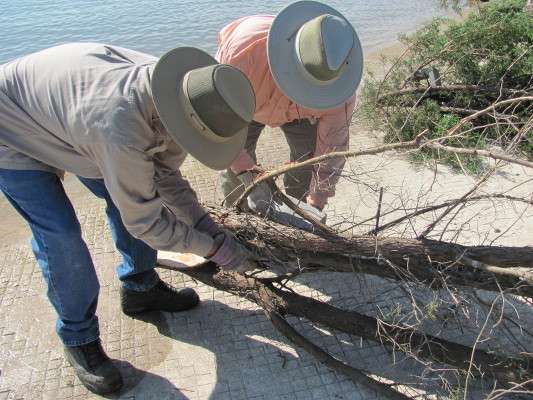 Volunteers placed 20 cedar (ashe juniper) bundles at 10 locations on the lake.
