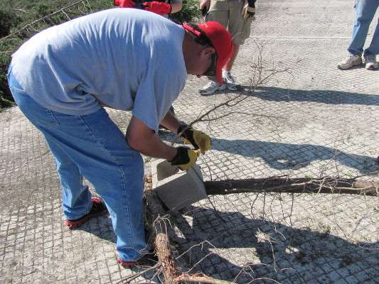 Volunteers contributed labor, trucks, trailers, boats and chainsaws. The Corps provided the trees and access to the work sites, while WORD paid for building materials and lunch.