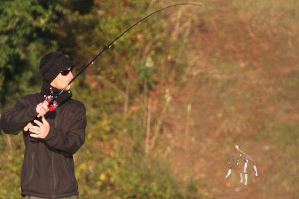 We had the first few glimpses of the umbrella rig on Day Two as anglers tried to make something happen early. 