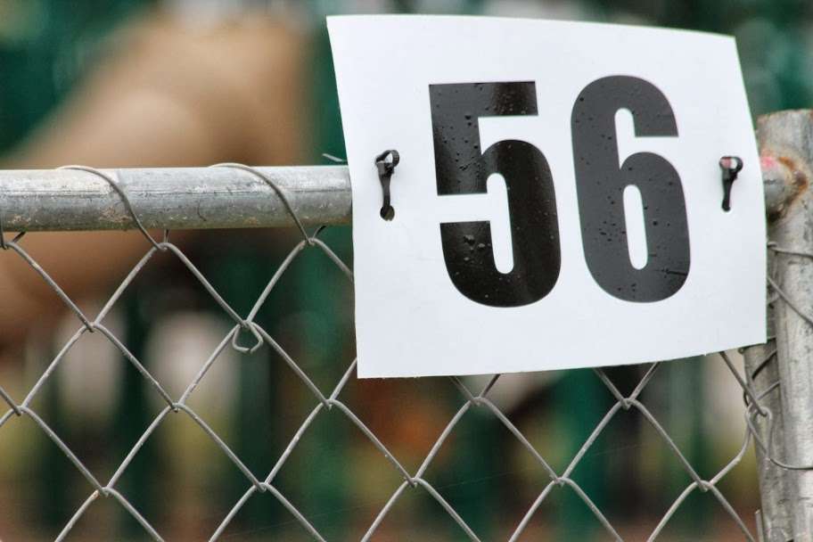 ...of the 56 anglers hoping to win 6 spots to fish in the 2014 Bassmaster Classic.