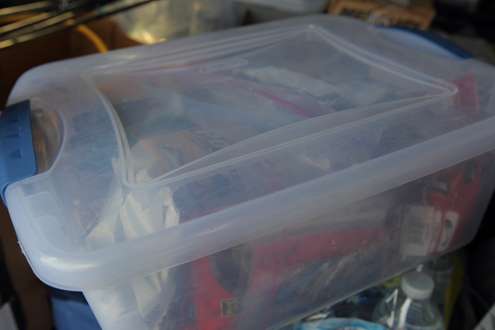 Worms organized in plastic bins.