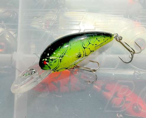 <p>The 6A Bomber in Firetiger is another vintage cranker that keeps on truckinâ for Roy. âThatâs my dirty water crankbait,â he says. âThat bright chartreuse color is easier for the bass to find.â</p>
