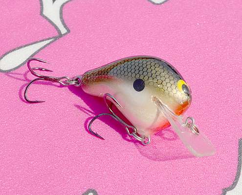 <p>The Tennessee Shad WEC1 is the crankbait Short ties on when heâs cranking in clear or tannic colored water.</p>
