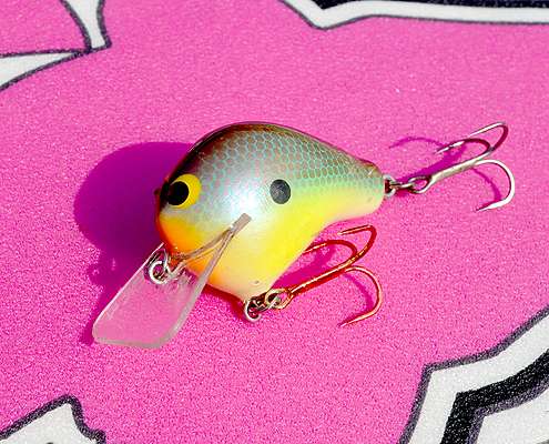 <p>The Bull Bream color WEC1 draws strikes for Short in stained water and when bass are feeding on bluegills.</p>
