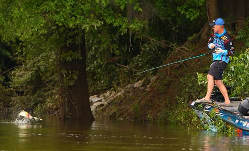 <p>Brent Chapman fights a tough Alabama River bass. </p> 