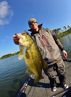 <p>Hawk manages to wrangle a healthy Guntersville bass on a swimbait â NOT on an umbrella rig â within minutes.</p>