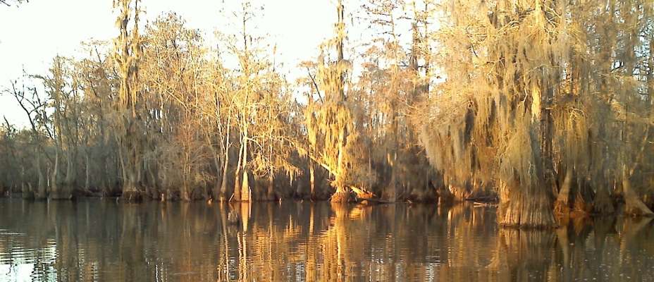 <p>48. Santee Cooper Lakes, South Carolina</p>
