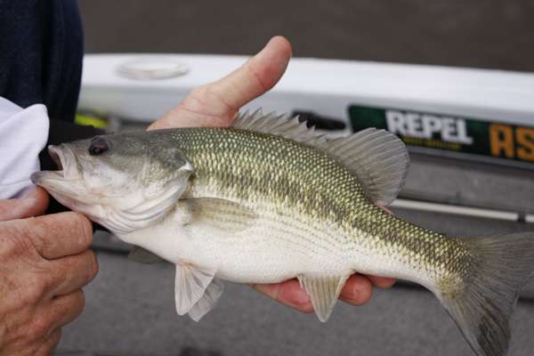 <p><strong><span style=