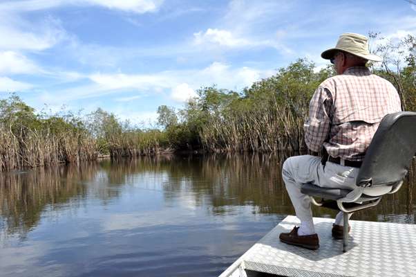 <p>... and directs client Tom Curl to cast toward the broad, light-colored nest ...</p>