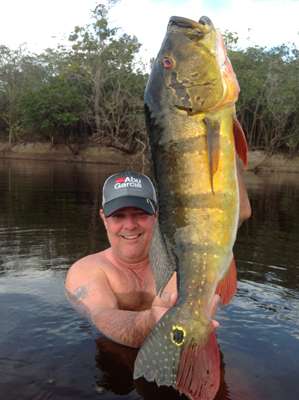 <p>Billy Chapman was one of the early pioneers in outfitting peacock bass trips to the Amazon. His Anglers Inn Amazon operation is filling up with repeat customers.</p>