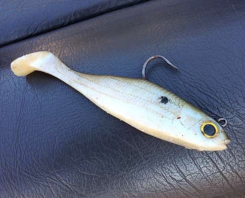 When big bass hug bottom, Tucker gets down to them with a swimbait that sports a large exposed hook and a 1 1/2-ounce internal weight. He lets the swimbait sink to the bottom, reels it up 4 to 5 feet and lets is swim back down on a tight line.