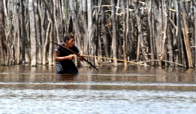 <p>A young native Brazilian stalks his prey with a hand-made bow and arrow ...</p>
