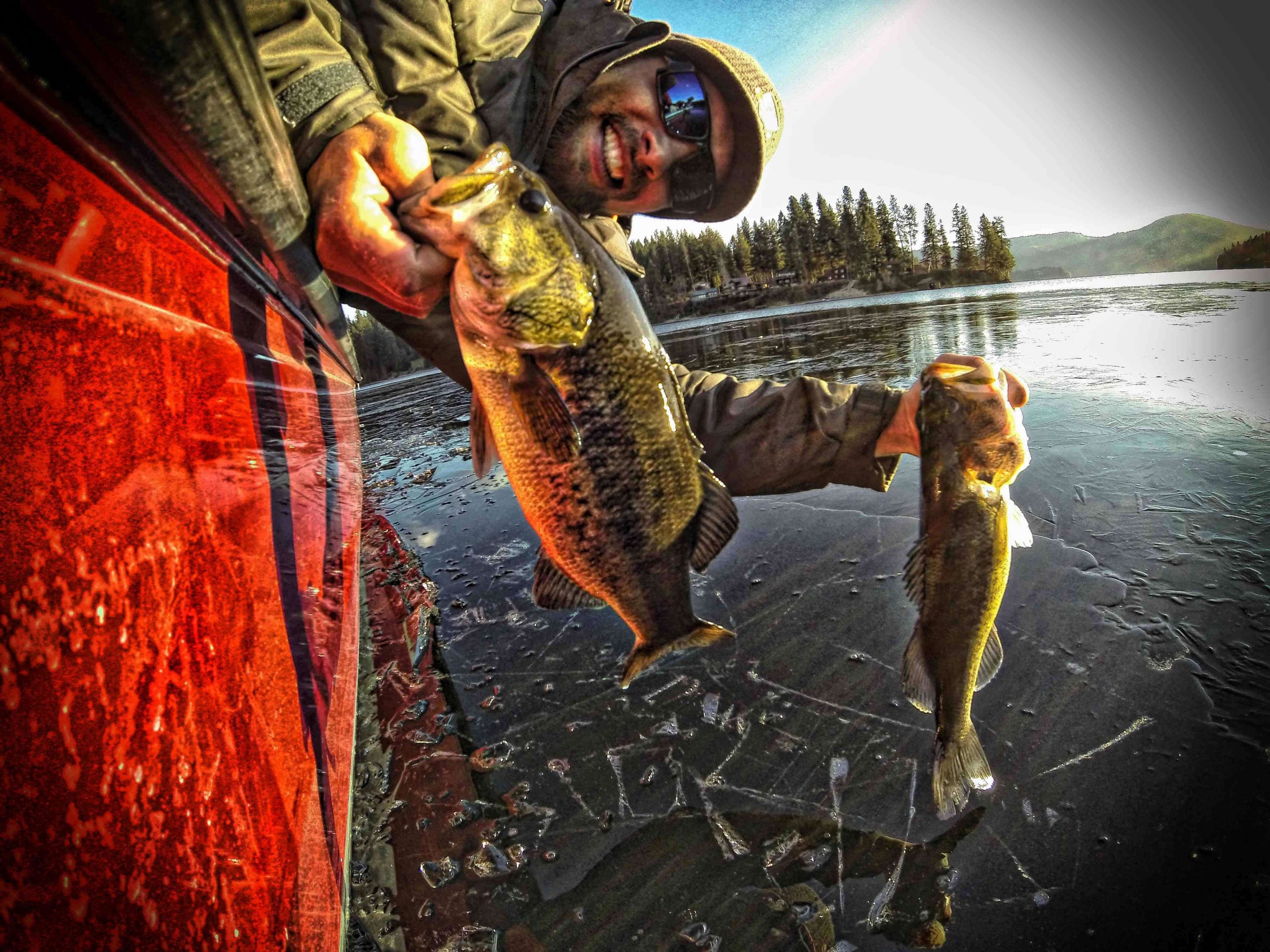The temperature was in single digits in Idaho the first week in December, but Palaniuk and his local fishing partner wanted to go fishing, even if it meant breaking some ice on Haden Lake. They did just that and Palaniuk displays the results. 
