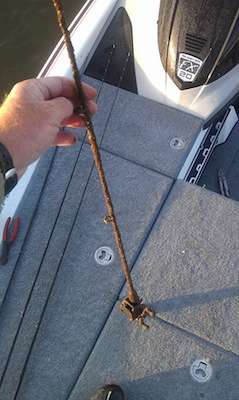 <p>Thought I would show off one of my catches on Guntersville today...LOL! â Greg Vinson, Dec. 19, <strong><a href=