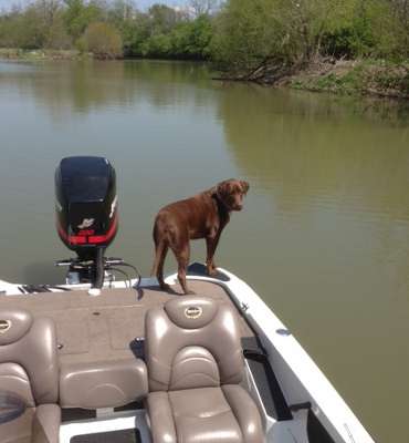 <p>"Macy is often my short-notice fishing buddy," said Chad Smart. "She also serves as a companion to my special-needs son."</p>
