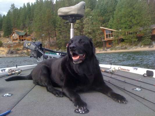 <p>"Smokie was my black lab and fishing partner until she passed at the age of 15 in January 2012," said Ed Proulx of Idaho.</p>
