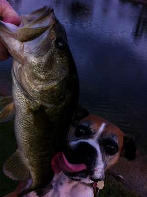 <p>"Sophie is the best fishing buddy because she always takes time to clean all my bass," said Jerry Skivington.</p>
