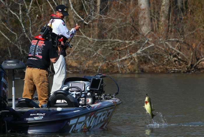 This fish would be welcome on most lakes, but itâs not the kind an angler needs on Lake Guntersville.