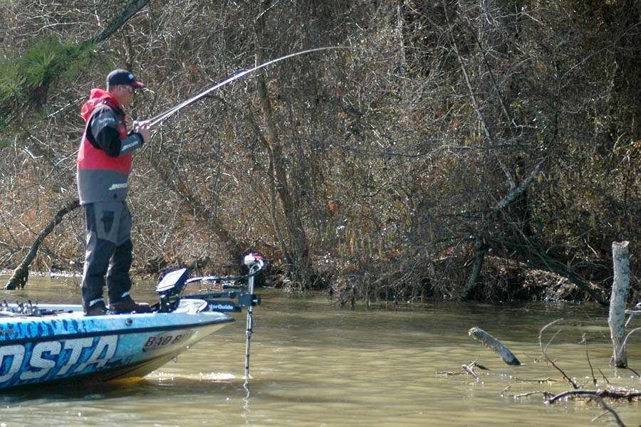 The bass hung up in the wood. Is it a good one? Ashley motors to the tree to retrieve the bass.