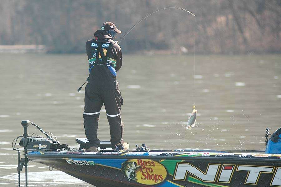 After putting a solid bass in the livewell, DeFoe boats a short fish.